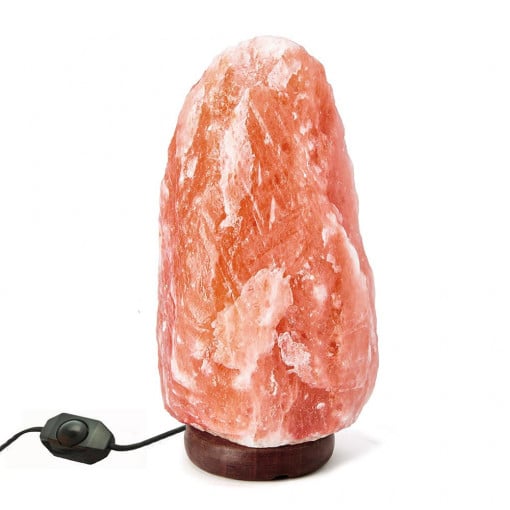 HIMALAJSKA slana lampa