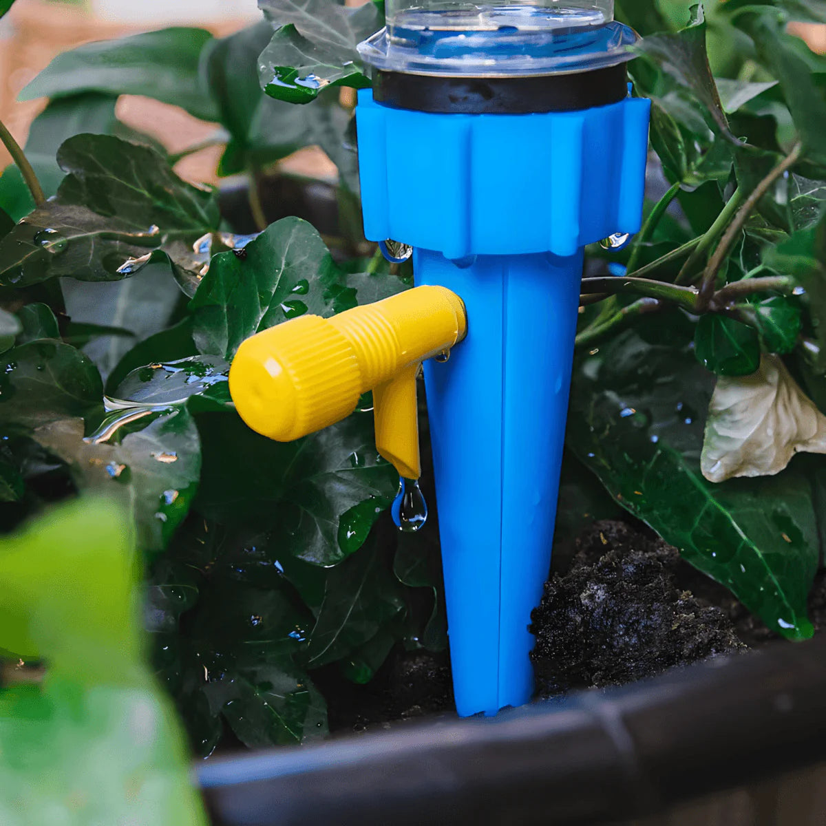 Sistem kap po kap za zalivanje cveća